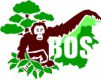 The Borneo Orangutan Survival Foundation